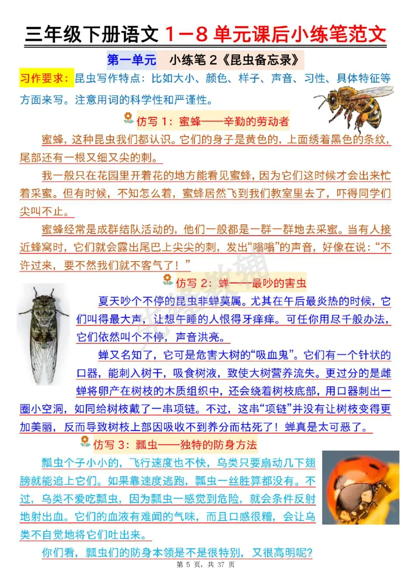 《三年级（下）语文1-8单元课后小练笔范文_3年级下册同步教辅_3下-语文_三下语文作文》第5页预览