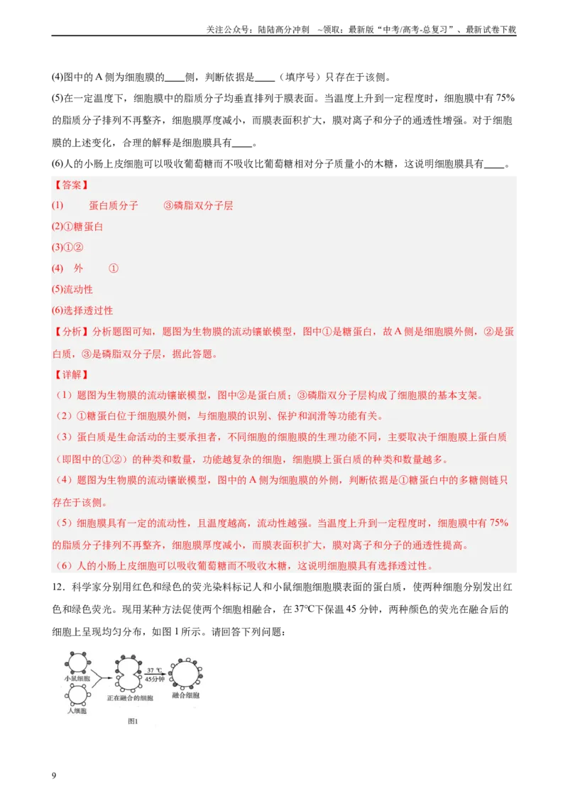 《考点通关卷05细胞膜和细胞核（教师版）_06-生物-高考总复习_一轮复习_2025年_2025年高考生物一轮复习考点复习卷（新高考通用）》第9页预览