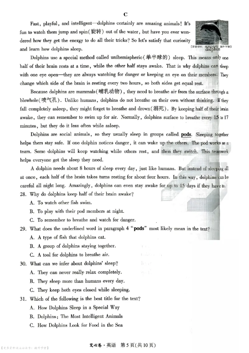 《定心卷英语（试卷+答题卡）_2026版《万唯中考定心卷》7科多省合集_万唯2026版中考《万唯定心卷》7科全套（山东）》第5页预览