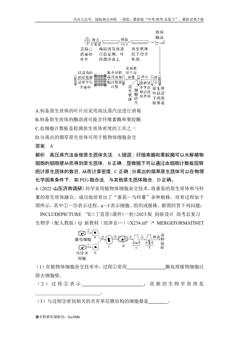 《第34讲细胞工程和胚胎工程_06-生物-高考总复习_一轮复习_2024年_2024高考生物大一轮复习课件讲义新人教版知识总结_2024年高考生物一轮复习讲义（新人教版）_另赠1套Word版题库_选择性必修3》第10页预览