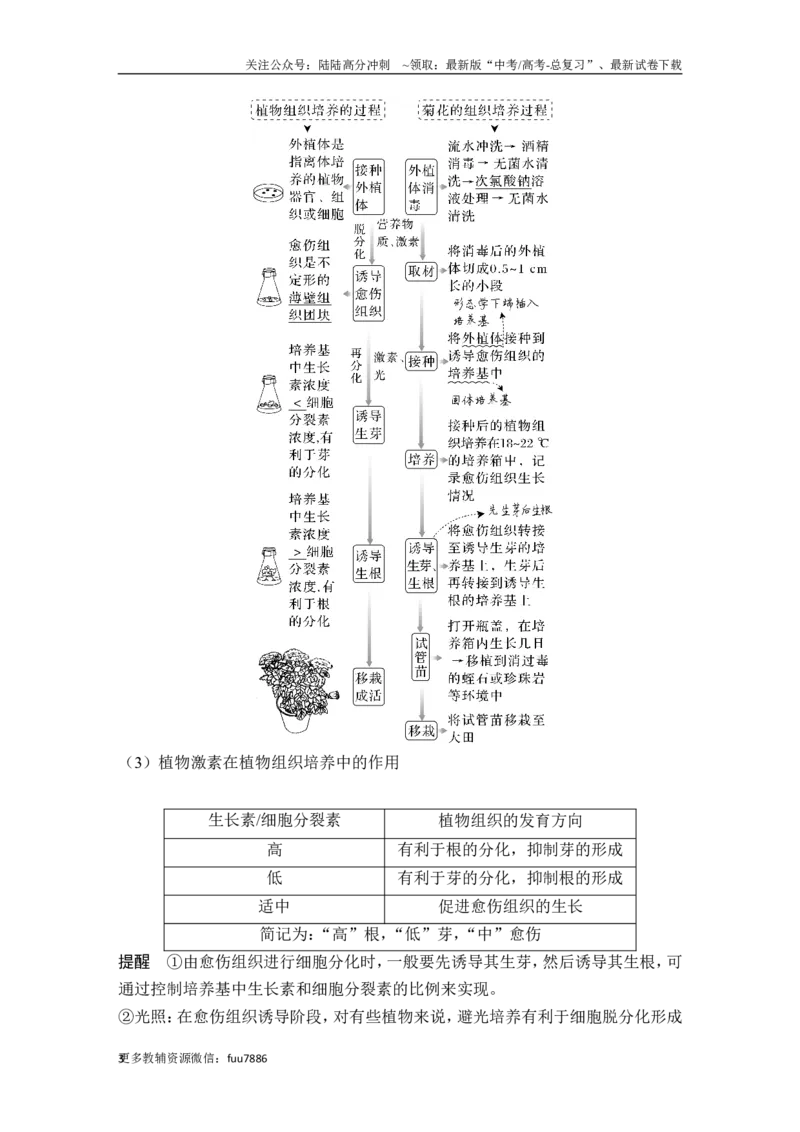《第34讲细胞工程和胚胎工程_06-生物-高考总复习_一轮复习_2024年_2024高考生物大一轮复习课件讲义新人教版知识总结_2024年高考生物一轮复习讲义（新人教版）_另赠1套Word版题库_选择性必修3》第3页预览