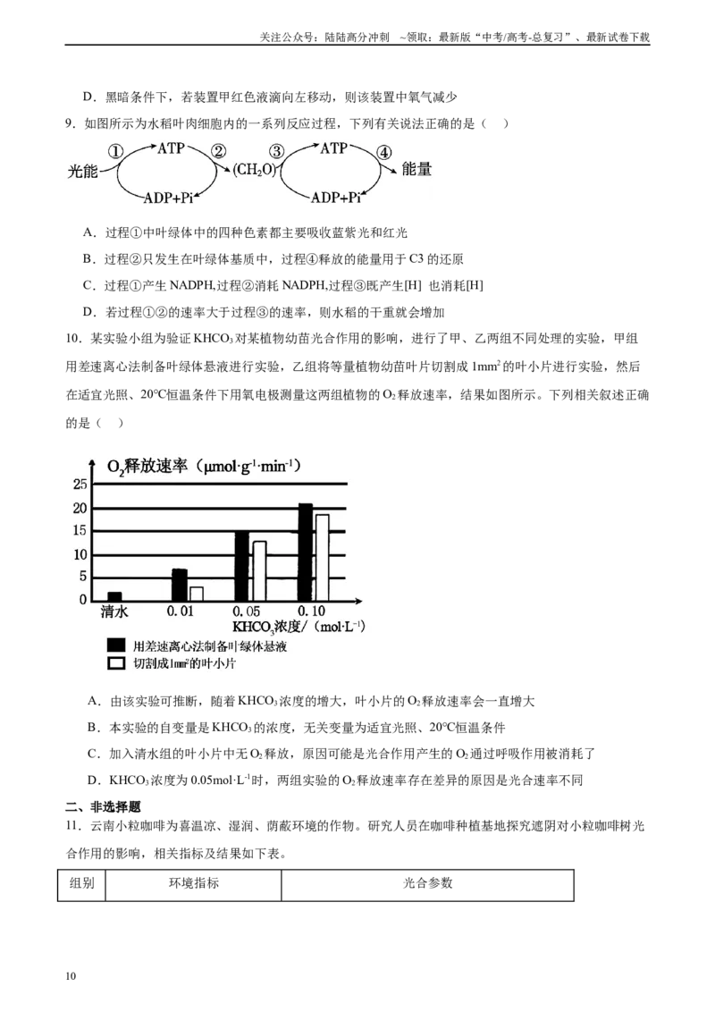 《考点通关卷11细胞代谢综合分析（学生版）_06-生物-高考总复习_一轮复习_2025年_2025年高考生物一轮复习考点复习卷（新高考通用）》第10页预览
