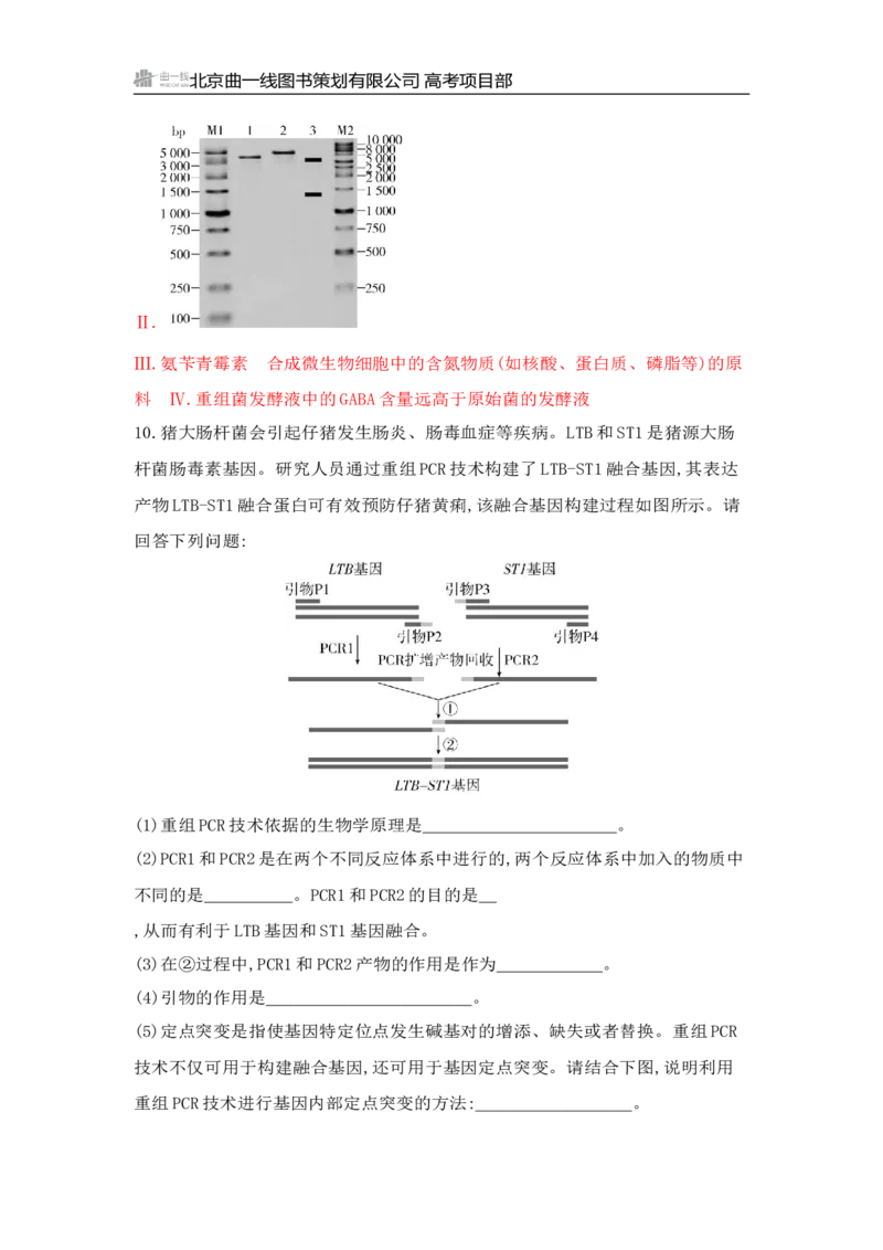《1_专题过关检测练Word-第24章　基因工程_2026版教学资源包_202653高考总复习A版_山东版_2026版.山东版.选考总复习.生物.5·3A版_第5部分生物技术与工程_第24章基因工程_6_专题检测》第7页预览