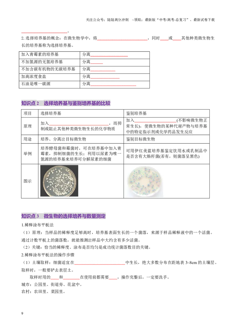 《第38讲微生物的培养技术和应用（讲义）（学生版）_06-生物-高考总复习_一轮复习_2025年_2025年新高考生物一轮复习讲义PPT知识点习题训_资料_第十单元生物技术与工程》第9页预览