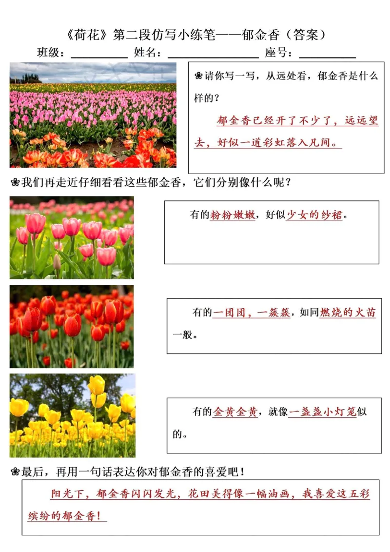 《三年级（下）语文荷花第二段仿写小练笔_3年级下册同步教辅_3下-语文_三下语文词语+句子》第2页预览