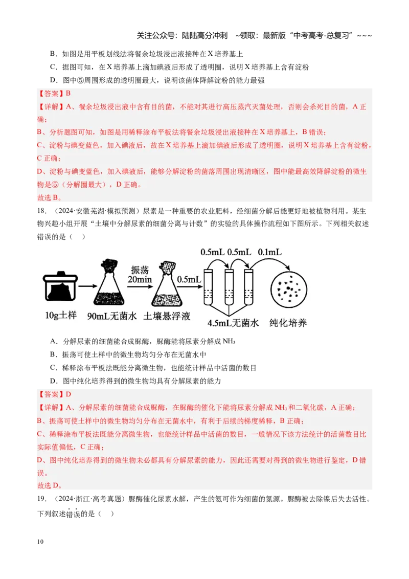 《第39讲微生物的培养技术和应用（专项训练）（安徽专用）（教师版）_06-生物-高考总复习_一轮复习_2026年-生物高考一轮复习_2026年高考生物一轮课件+讲义+练习（安徽专用）-G326》第10页预览