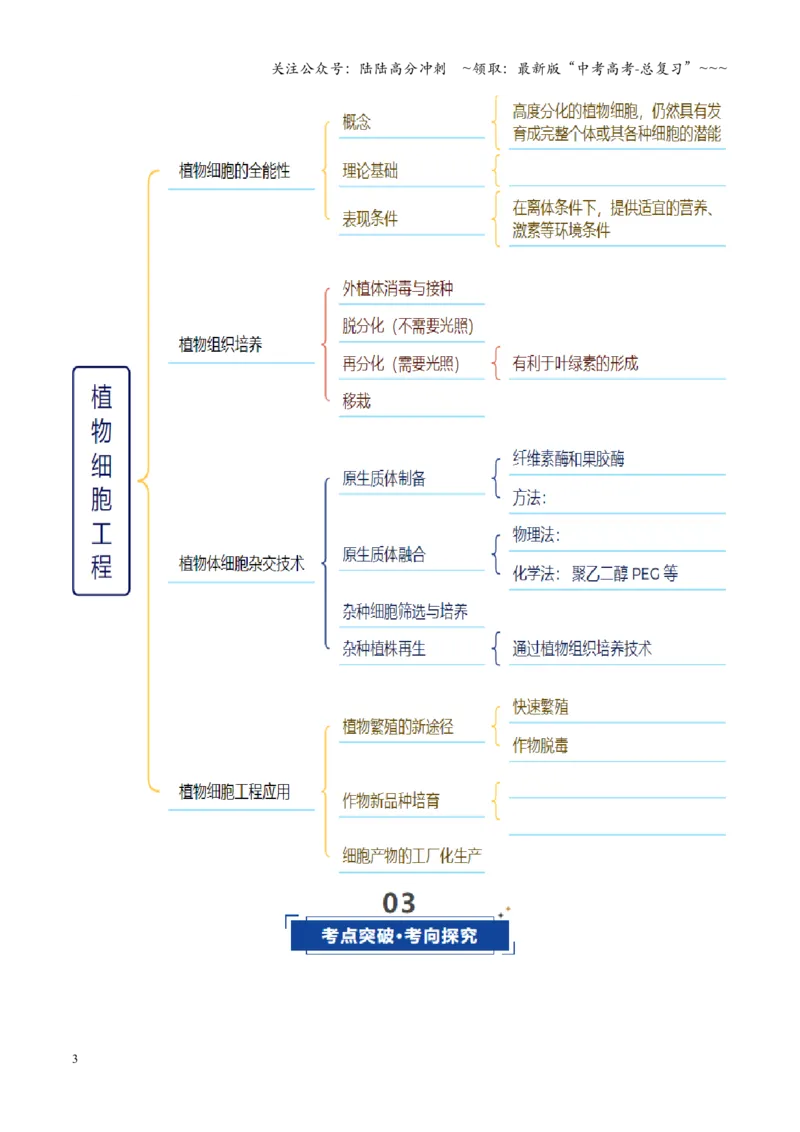 《第39讲植物细胞工程（学生版）_06-生物-高考总复习_一轮复习_2026年-生物高考一轮复习_2026年高考生物一轮复习讲义+练习+课件（新教材新高考）-G55_2026版_第十单元生物技术与工程》第3页预览