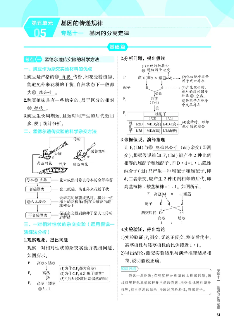 《2_11-专题十一　基因的分离定律（教参电子书—知识讲解）_2024版教学资源包_2024版.新高考版生物.5·3A版_11_专题十一基因的分离定律_4_PDF教参电子书》第1页预览