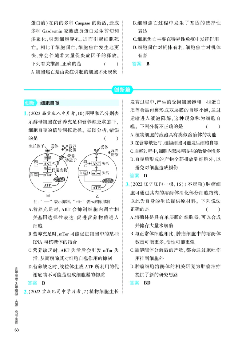 《2_08-专题八　细胞的分化、衰老和死亡（教参电子书—分层集训）_2024版教学资源包_2024版.新高考版生物.5·3A版_8_专题八细胞的分化、衰老和死亡_4_PDF教参电子书》第3页预览