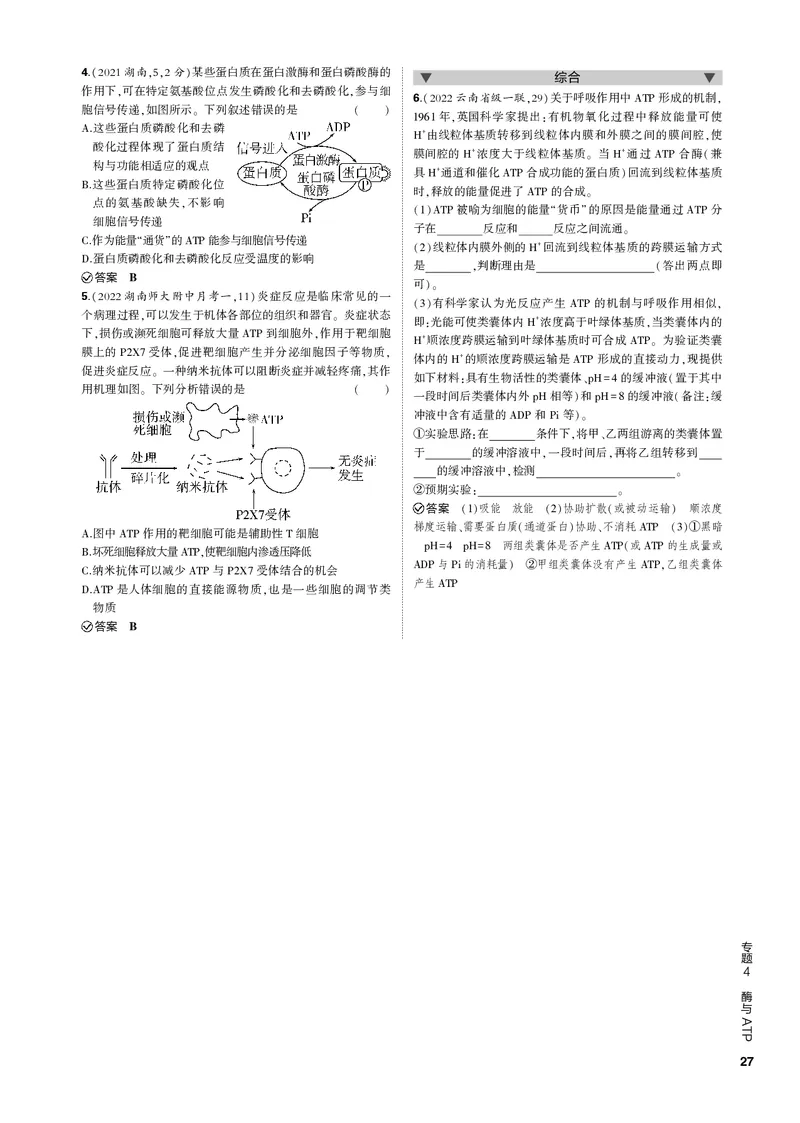 《1_专题4　酶与ATP(PDF版）_2023版教学资源包_2023版新高考新教材版选考总复习生物5·3B版_4_专题四酶与ATP_4_专题电子书》第3页预览