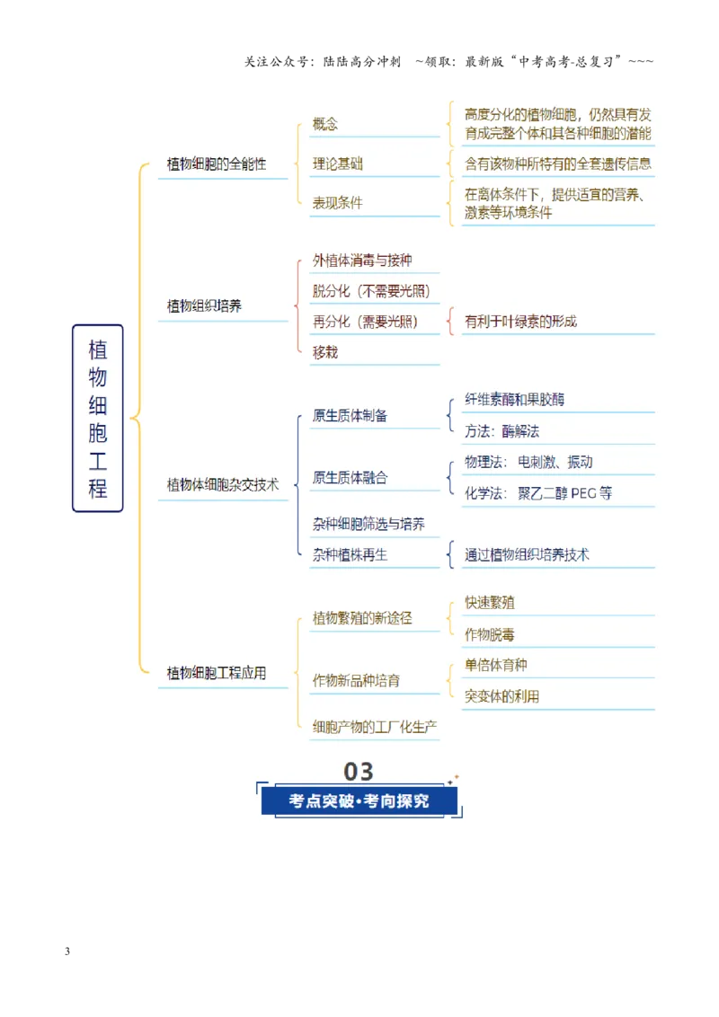 《第39讲植物细胞工程（教师版）_06-生物-高考总复习_一轮复习_2026年-生物高考一轮复习_2026年高考生物一轮复习讲义+练习+课件（新教材新高考）-G55_2026版_第十单元生物技术与工程》第3页预览