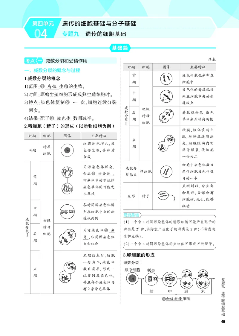 《2_09-专题九　遗传的细胞基础（教参电子书—知识讲解）_2024版教学资源包_2024版.新高考版生物.5·3A版_9_专题九遗传的细胞基础_4_PDF教参电子书》第1页预览