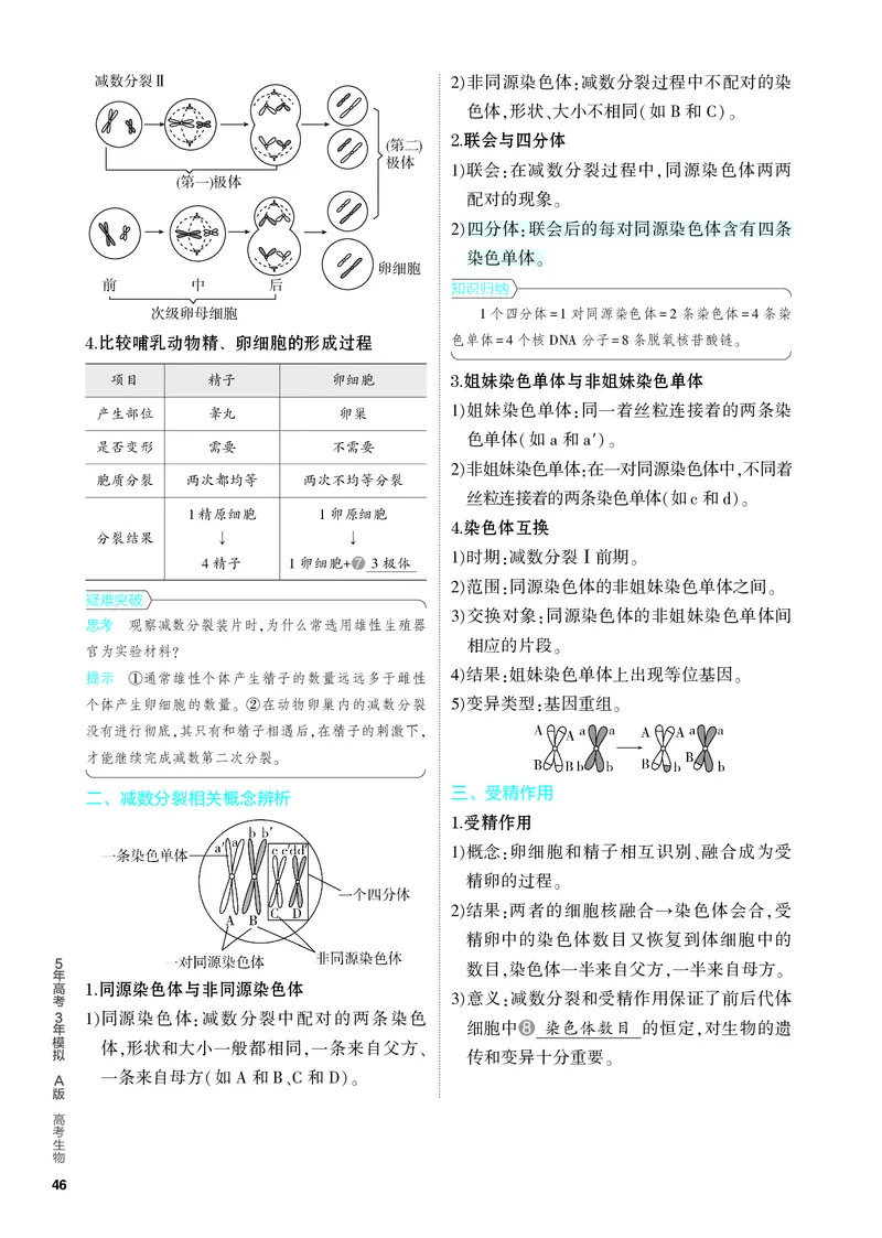 《2_09-专题九　遗传的细胞基础（教参电子书—知识讲解）_2024版教学资源包_2024版.新高考版生物.5·3A版_9_专题九遗传的细胞基础_4_PDF教参电子书》第2页预览