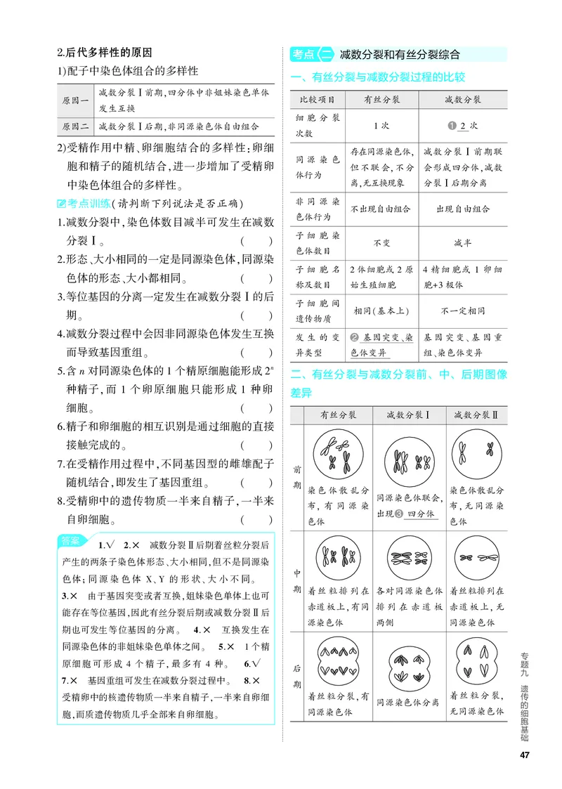 《2_09-专题九　遗传的细胞基础（教参电子书—知识讲解）_2024版教学资源包_2024版.新高考版生物.5·3A版_9_专题九遗传的细胞基础_4_PDF教参电子书》第3页预览