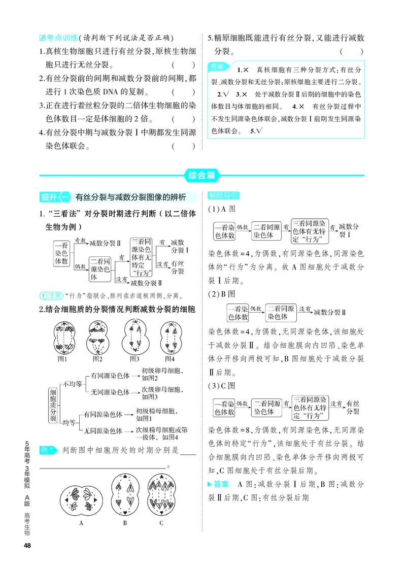 《2_09-专题九　遗传的细胞基础（教参电子书—知识讲解）_2024版教学资源包_2024版.新高考版生物.5·3A版_9_专题九遗传的细胞基础_4_PDF教参电子书》第4页预览