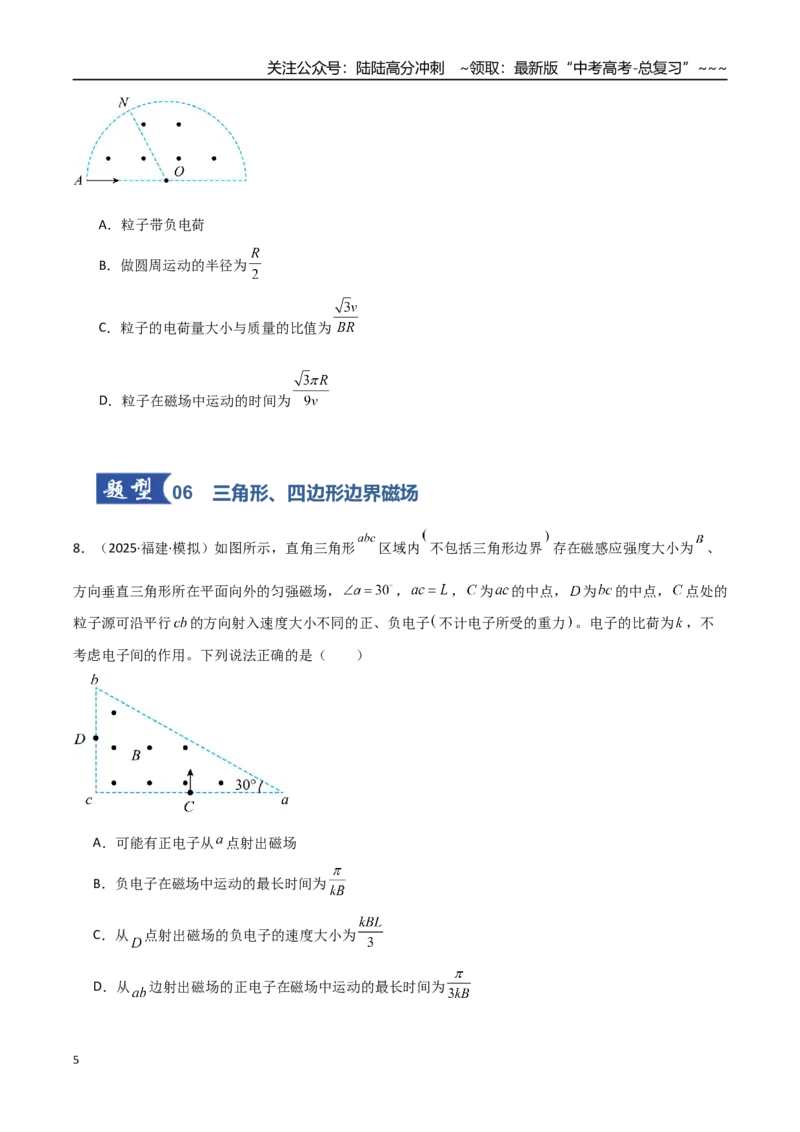 《第38讲洛伦兹力带电粒子在匀强磁场中的运动（专项训练）（福建专用）（学生版）_04-物理-高考总复习_一轮复习_2026年-物理高考一轮复习》第5页预览