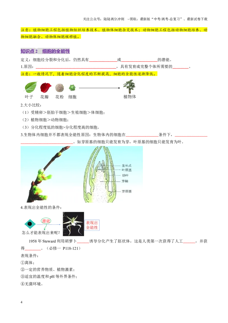 《第39讲植物细胞工程（讲义）（学生版）_06-生物-高考总复习_一轮复习_2025年_2025年高考生物一轮复习讲义+练习+课件（新教材新高考）_第十单元生物技术与工程》第4页预览