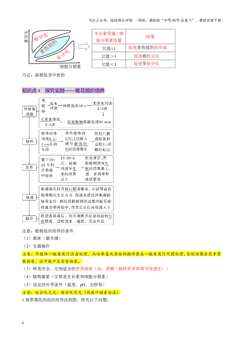 《第39讲植物细胞工程（讲义）（学生版）_06-生物-高考总复习_一轮复习_2025年_2025年高考生物一轮复习讲义+练习+课件（新教材新高考）_第十单元生物技术与工程》第6页预览