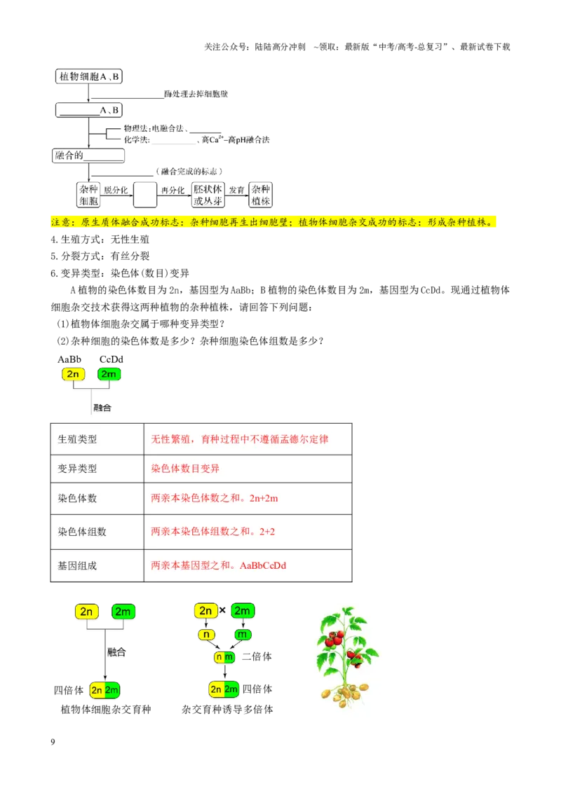 《第39讲植物细胞工程（讲义）（学生版）_06-生物-高考总复习_一轮复习_2025年_2025年高考生物一轮复习讲义+练习+课件（新教材新高考）_第十单元生物技术与工程》第9页预览
