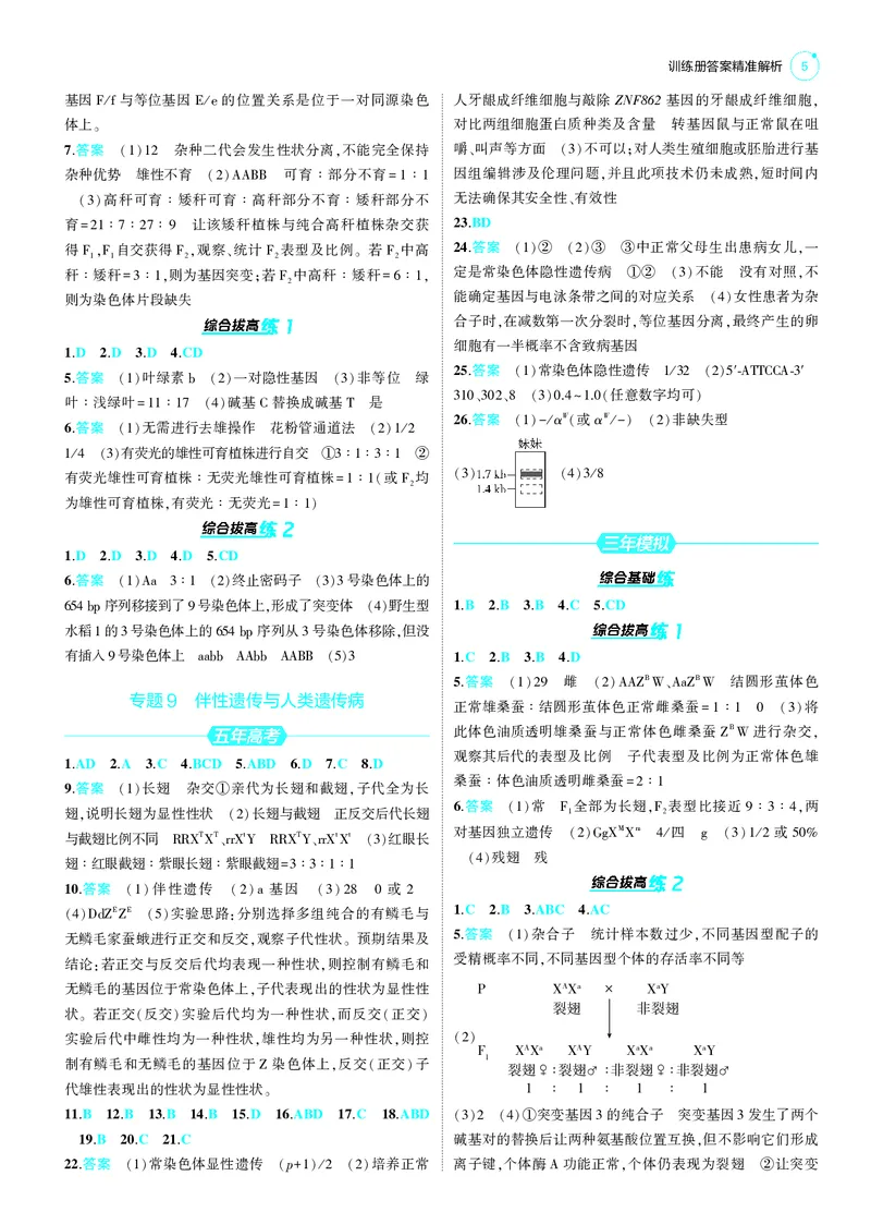 《1_2025版5·3B版新高考版答案速查_2025版教学资源包_（总复习系列）2025版《5年高考3年模拟》新高考版B版（⭐全科）_2025版.新高考新教材版.选考总复习.生物.5·3B版_第三部分答案速查》第5页预览