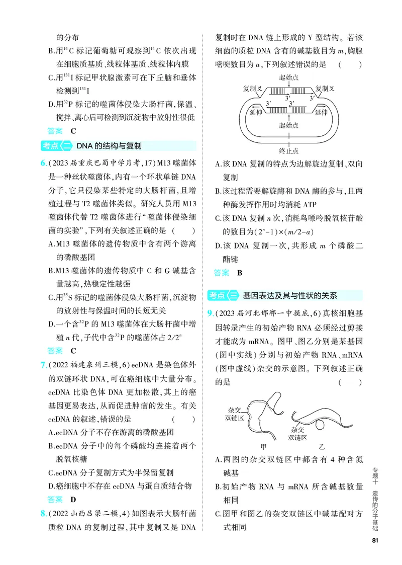 《2_10-专题十　遗传的分子基础（教参电子书—分层集训）_2024版教学资源包_2024版.新高考版生物.5·3A版_10_专题十遗传的分子基础_4_PDF教参电子书》第2页预览