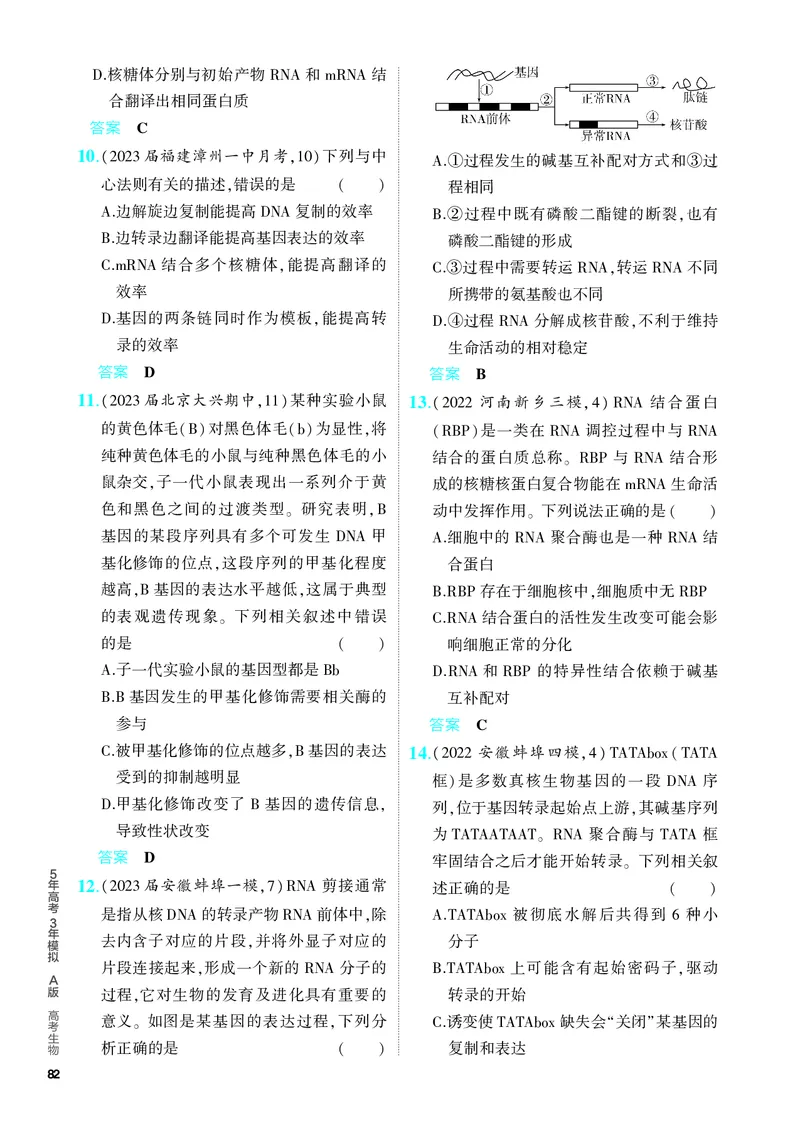 《2_10-专题十　遗传的分子基础（教参电子书—分层集训）_2024版教学资源包_2024版.新高考版生物.5·3A版_10_专题十遗传的分子基础_4_PDF教参电子书》第3页预览
