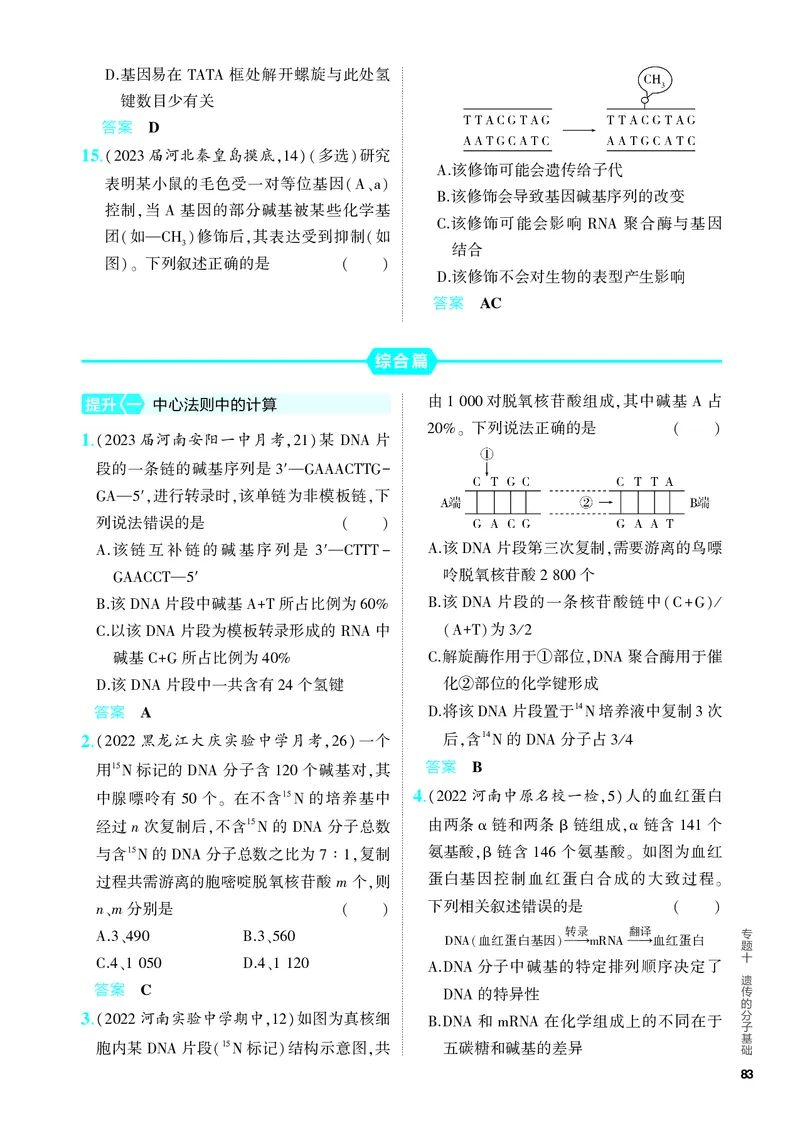 《2_10-专题十　遗传的分子基础（教参电子书—分层集训）_2024版教学资源包_2024版.新高考版生物.5·3A版_10_专题十遗传的分子基础_4_PDF教参电子书》第4页预览