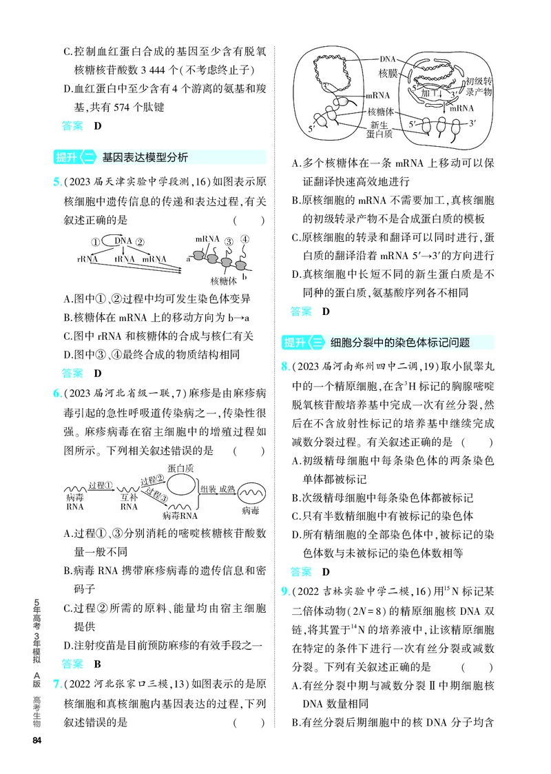 《2_10-专题十　遗传的分子基础（教参电子书—分层集训）_2024版教学资源包_2024版.新高考版生物.5·3A版_10_专题十遗传的分子基础_4_PDF教参电子书》第5页预览