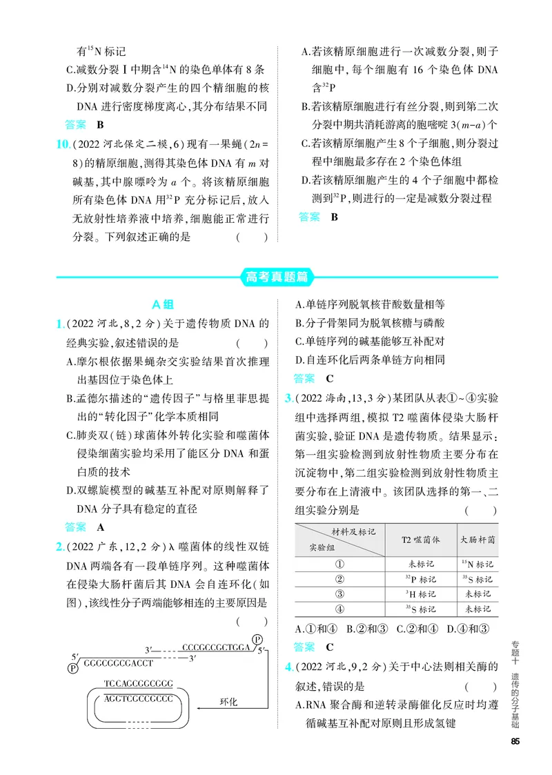 《2_10-专题十　遗传的分子基础（教参电子书—分层集训）_2024版教学资源包_2024版.新高考版生物.5·3A版_10_专题十遗传的分子基础_4_PDF教参电子书》第6页预览
