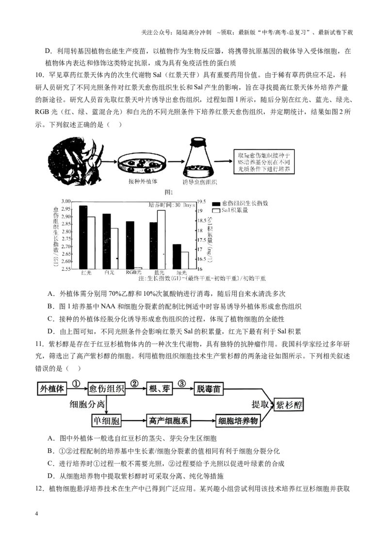 《第39讲植物细胞工程（练习）（学生版）_06-生物-高考总复习_一轮复习_2025年_2025年高考生物一轮复习讲义+练习+课件（新教材新高考）_第十单元生物技术与工程》第4页预览