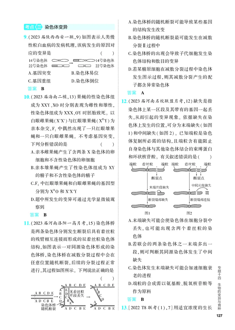 《2_14-专题十四　生物的变异与育种（教参电子书—分层集训）_2024版教学资源包_2024版.新高考版生物.5·3A版_14_专题十四生物的变异与育种_4_PDF教参电子书》第3页预览