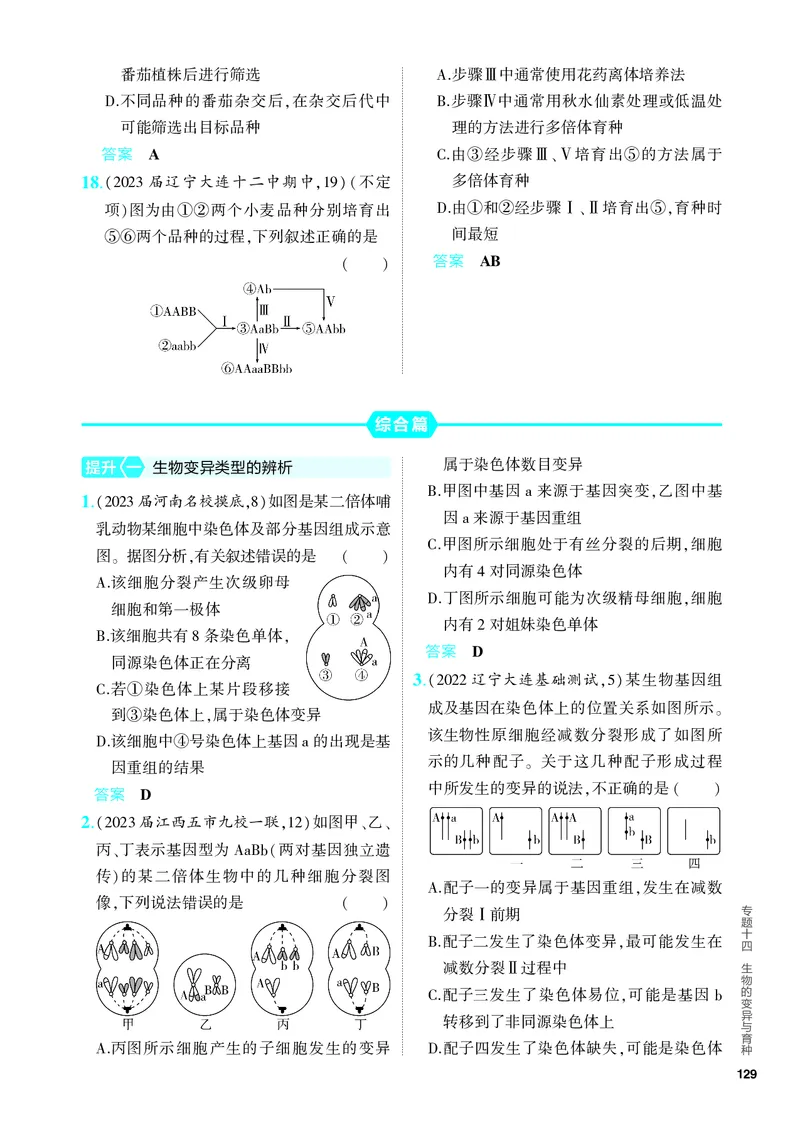 《2_14-专题十四　生物的变异与育种（教参电子书—分层集训）_2024版教学资源包_2024版.新高考版生物.5·3A版_14_专题十四生物的变异与育种_4_PDF教参电子书》第5页预览