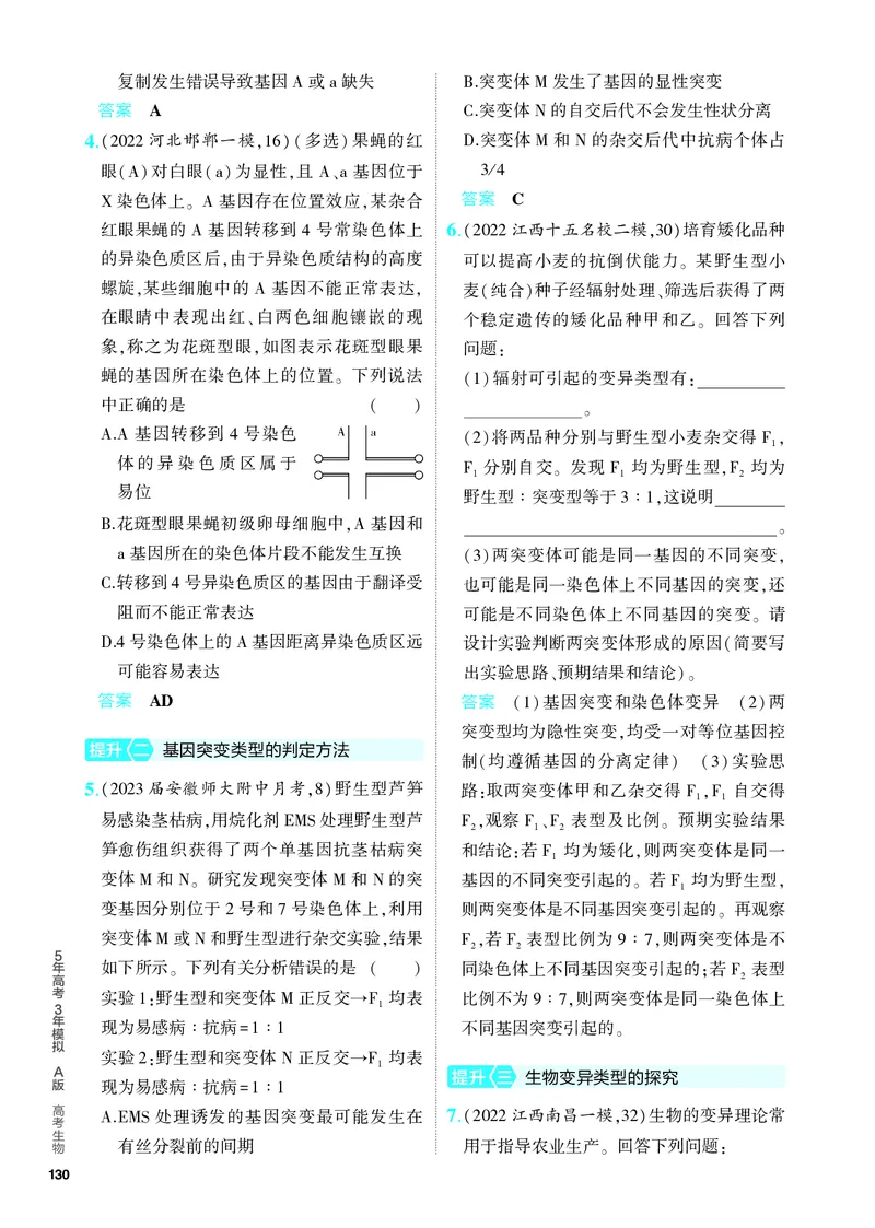 《2_14-专题十四　生物的变异与育种（教参电子书—分层集训）_2024版教学资源包_2024版.新高考版生物.5·3A版_14_专题十四生物的变异与育种_4_PDF教参电子书》第6页预览