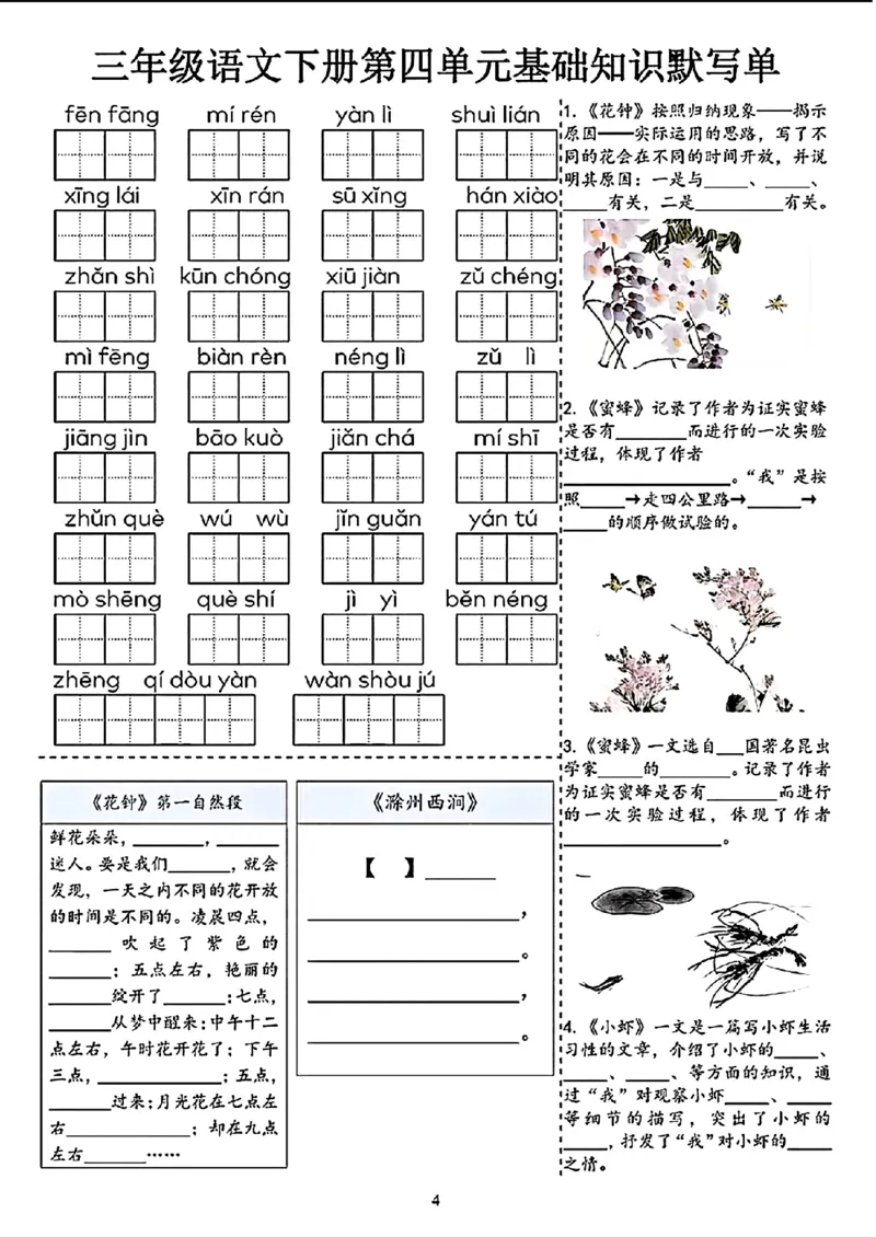 《三年级（下）语文1-4单元基础知识默写单_3年级下册同步教辅_3下-语文_三下语文词语+句子》第4页预览
