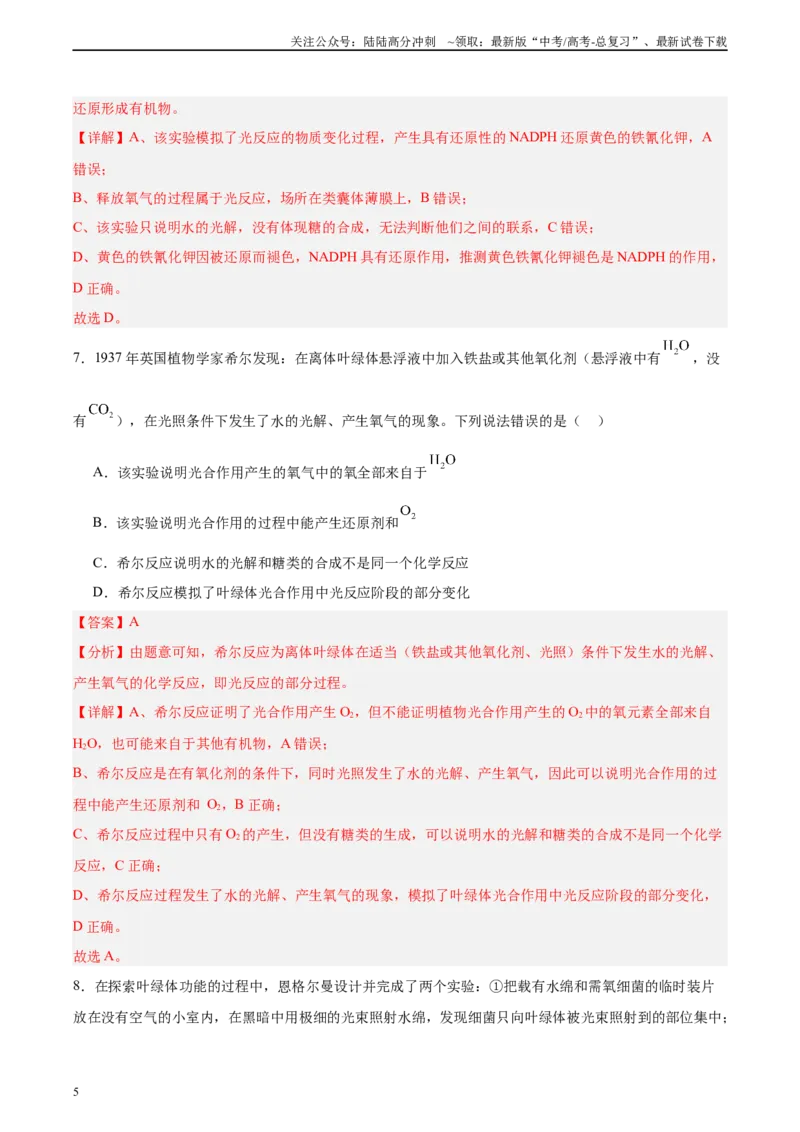 《考点通关卷10光合作用（教师版）_06-生物-高考总复习_一轮复习_2025年_2025年高考生物一轮复习考点复习卷（新高考通用）》第5页预览