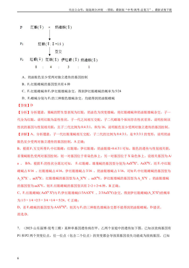 《考点通关卷18伴性遗传和人类遗传病（解析版）_06-生物-高考总复习_一轮复习_2024年_2024年高考生物一轮复习考点通关卷单元阶段考试卷_考点通关卷》第6页预览