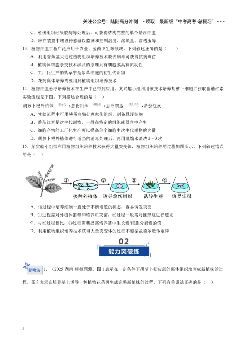 《第39讲植物细胞工程（专项训练）（学生版）_06-生物-高考总复习_一轮复习_2026年-生物高考一轮复习_2026年高考生物一轮课件+讲义+练习（湖南专用）-G331》第5页预览