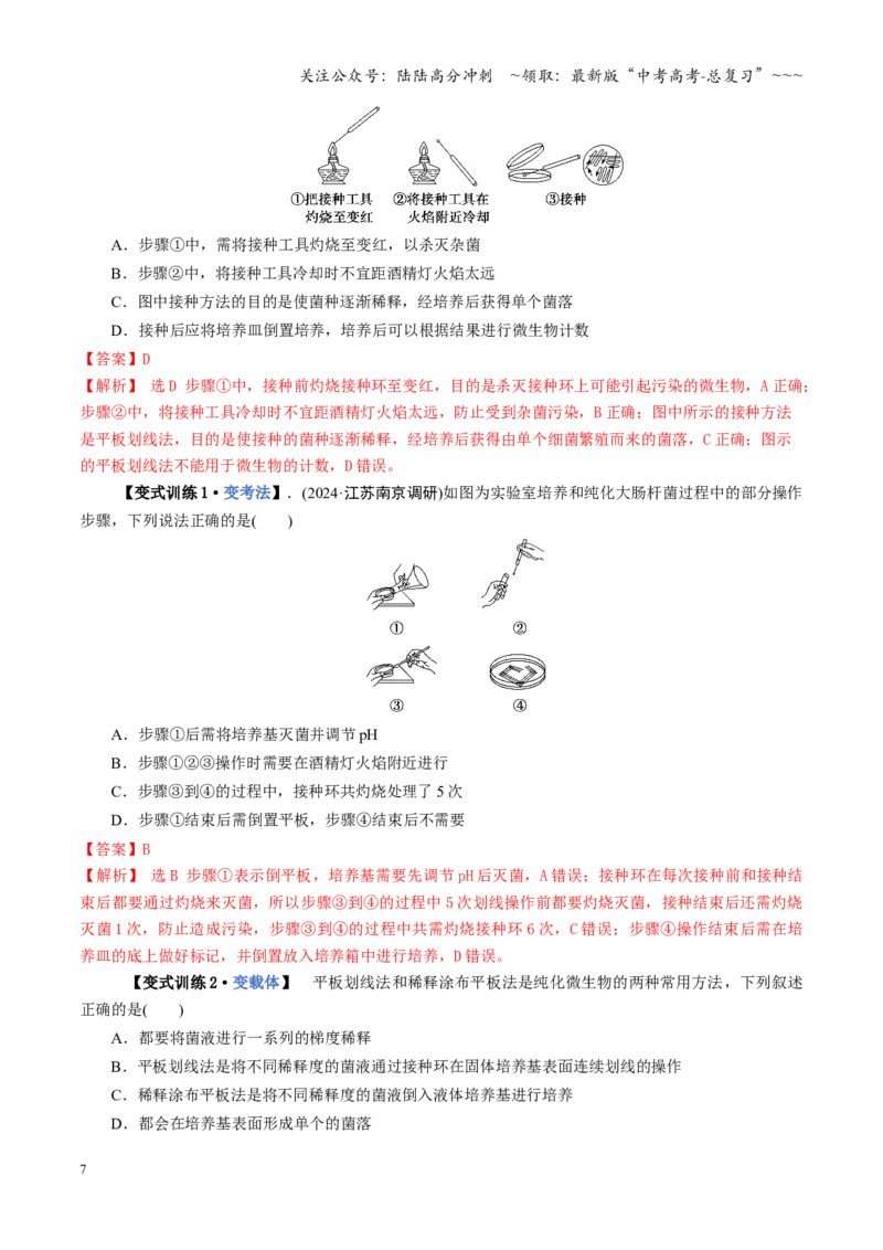 《第38讲微生物的培养技术和应用（教师版）_06-生物-高考总复习_一轮复习_2026年-生物高考一轮复习_2026年高考生物一轮复习讲义+练习+课件（新教材新高考）-G55_2026版》第7页预览