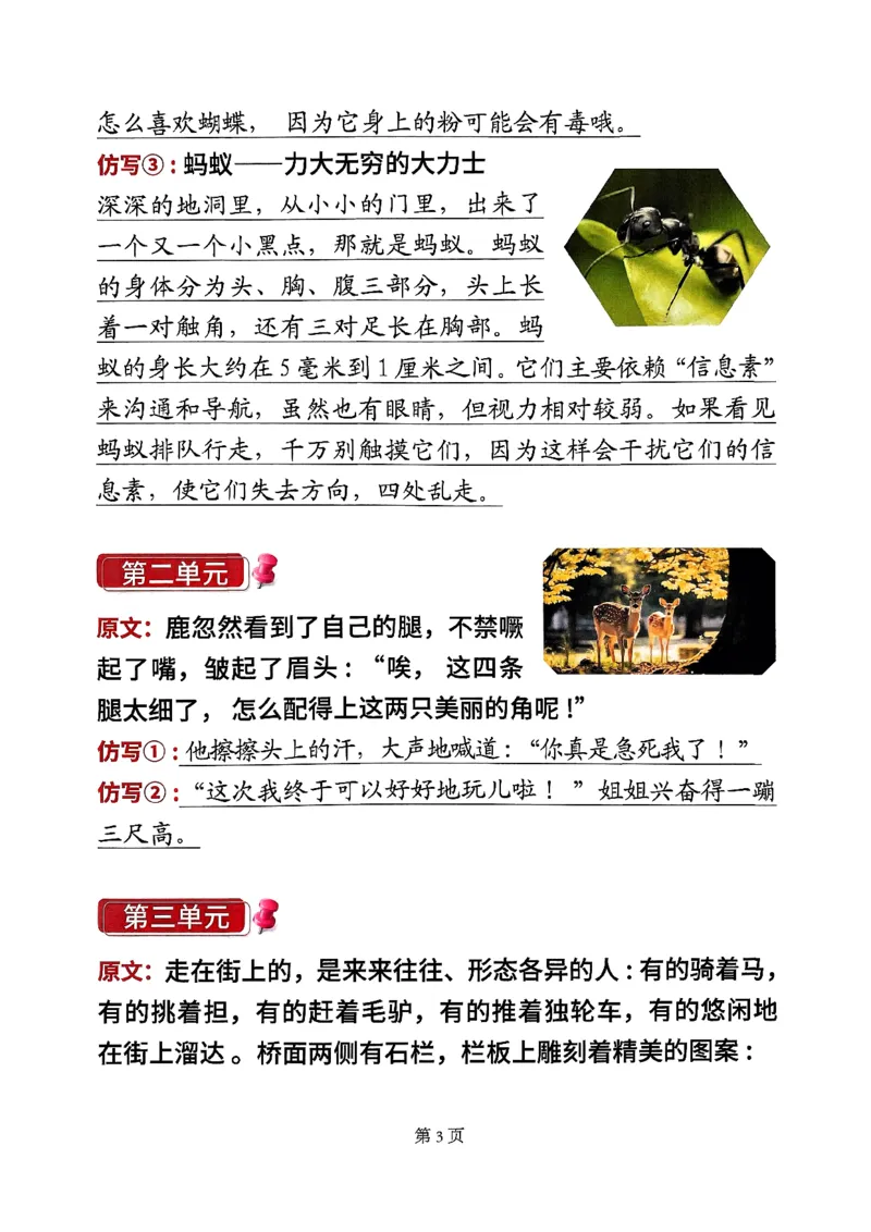 《三年级（下）语文全册课内句子仿写(1)_3年级下册同步教辅_3下-语文_三下语文词语+句子》第3页预览