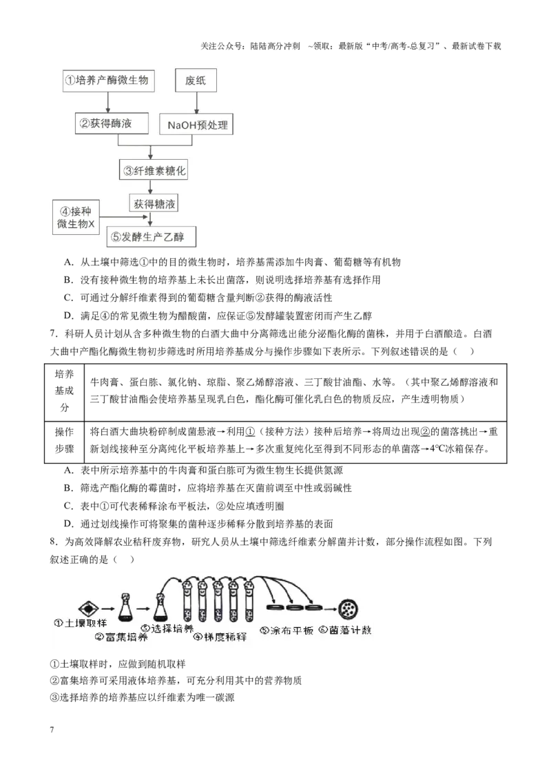 《第38讲微生物的培养技术和应用（练习）（学生版）_06-生物-高考总复习_一轮复习_2025年_2025年高考生物一轮复习讲义+练习+课件（新教材新高考）_第十单元生物技术与工程》第7页预览