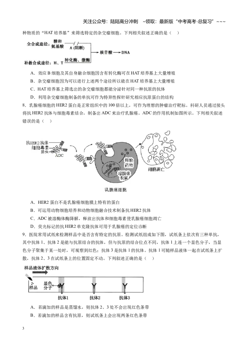 《第43讲动物细胞工程（专项训练）（福建专用）（学生版）_06-生物-高考总复习_一轮复习_2026年-生物高考一轮复习_2026年高考生物一轮课件+讲义+练习（福建专用）-G328》第3页预览