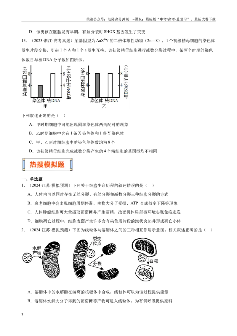 《第4天细胞的生命历程和减数分裂（原卷版）_06-生物-高考总复习_专项复习_2024年_2024年高考生物考前15天夺分必备_资料》第7页预览