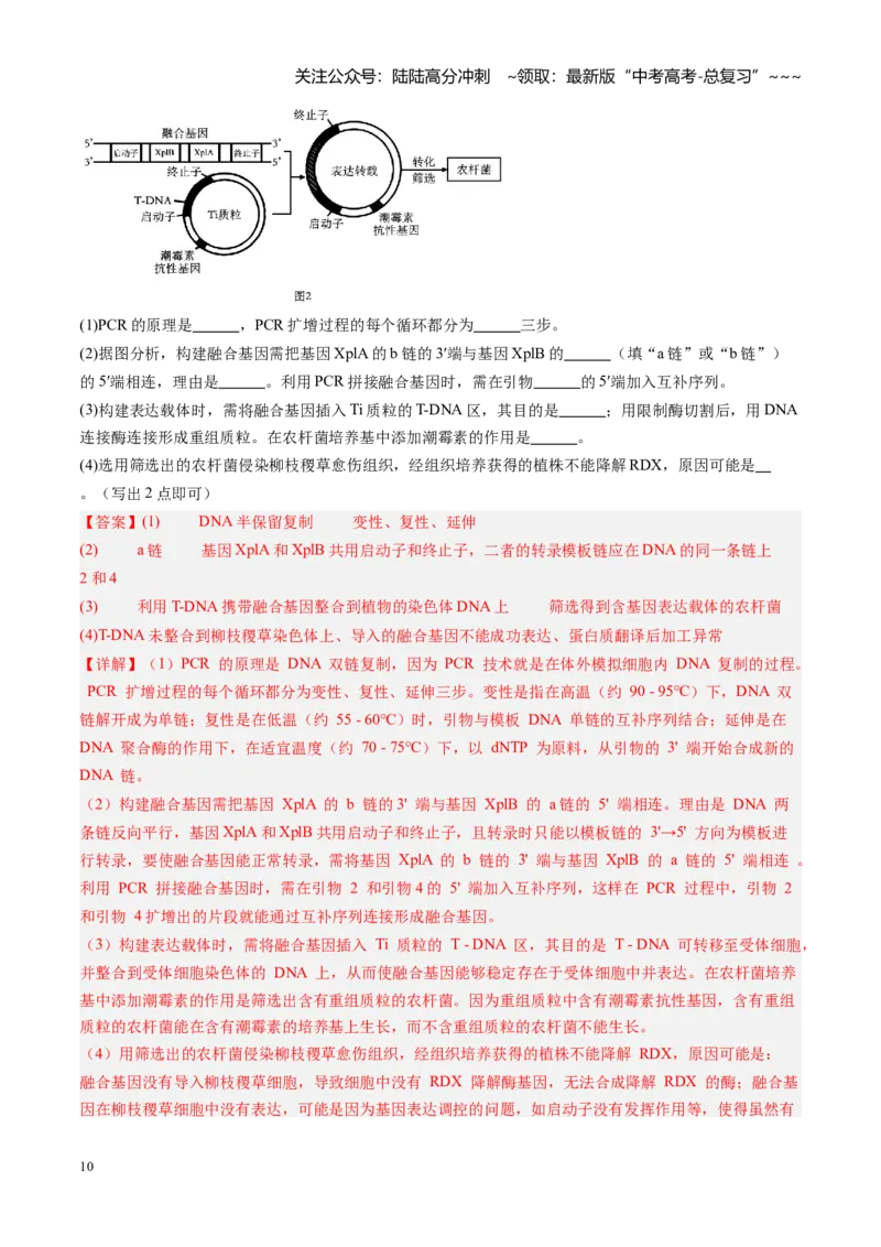 《第45讲基因工程以及生物技术的安全性和伦理问题（专项训练）（福建专用）（教师版）_06-生物-高考总复习_一轮复习_2026年-生物高考一轮复习》第10页预览