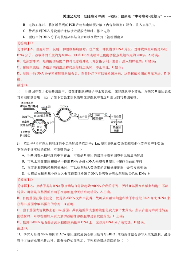 《第45讲基因工程以及生物技术的安全性和伦理问题（专项训练）（福建专用）（教师版）_06-生物-高考总复习_一轮复习_2026年-生物高考一轮复习》第7页预览