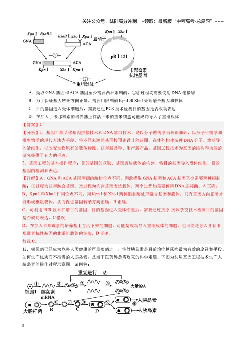 《第45讲基因工程以及生物技术的安全性和伦理问题（专项训练）（福建专用）（教师版）_06-生物-高考总复习_一轮复习_2026年-生物高考一轮复习》第8页预览