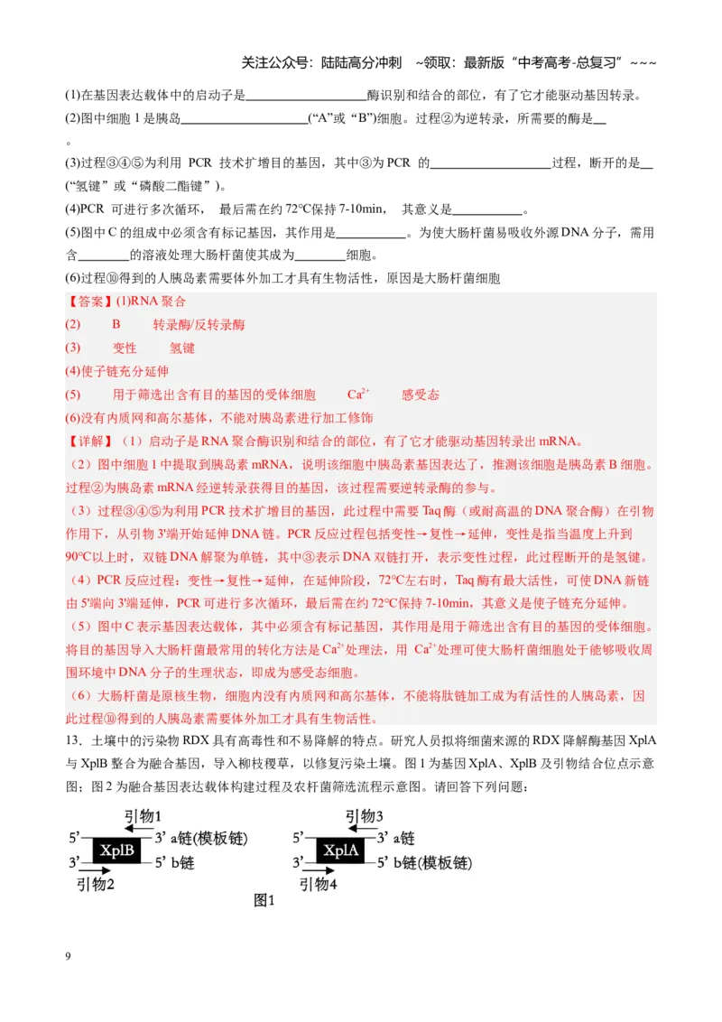 《第45讲基因工程以及生物技术的安全性和伦理问题（专项训练）（福建专用）（教师版）_06-生物-高考总复习_一轮复习_2026年-生物高考一轮复习》第9页预览