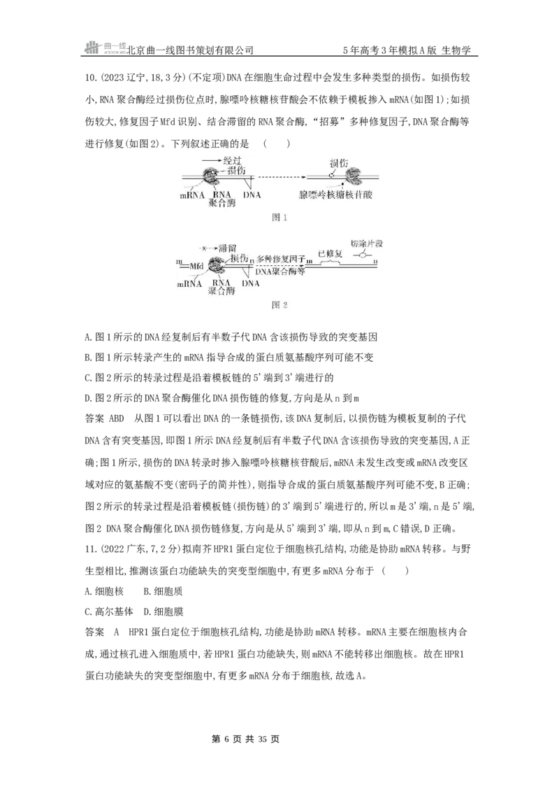 《1_真题分类第10章基因的表达_2026版教学资源包_202653高考总复习A版_山东版_2026版.山东版.选考总复习.生物.5·3A版_图书拓展资源_十年高考真题分类_1_10年高考真题分类题组》第6页预览