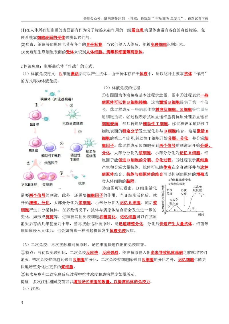 《第4章免疫调节（答案版）_06-生物-高考总复习_专项复习_2024年_2024年高考生物必背知识清单（人教版2019）_资料_选择性必修1》第3页预览