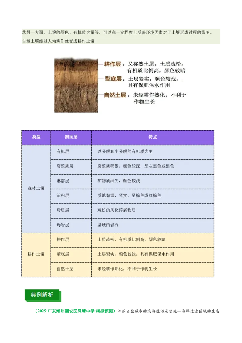 《专题16土壤特征与土壤盐分平衡（重难专练）（全国通用）（学生版）_地理_2026年-地理高考专项复习_2026年高考地理重难点讲义专练（新高考通用）-G102_2026版》第7页预览