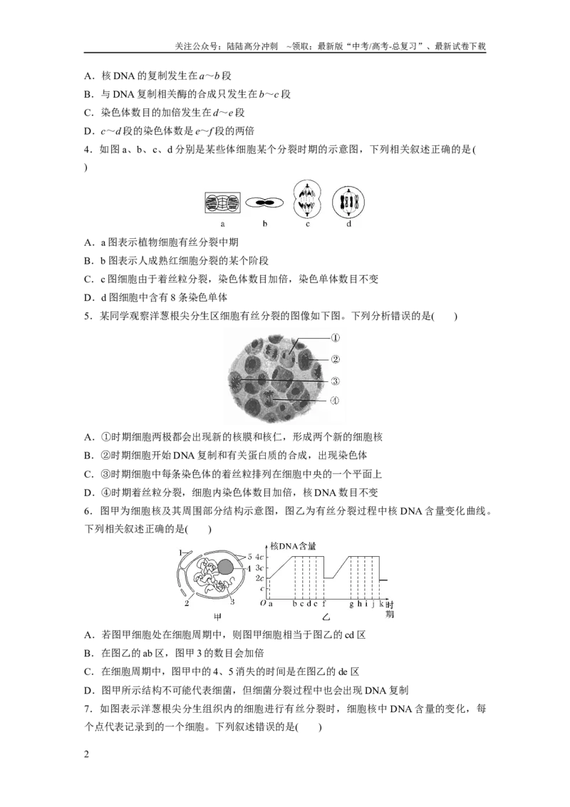 《第4单元　课时练2　有丝分裂过程中相关变化及观察实验_06-生物-高考总复习_一轮复习_2024年_2024高考生物大一轮复习课件讲义新人教版知识总结_2024年高考生物一轮复习讲义（新人教版）》第2页预览